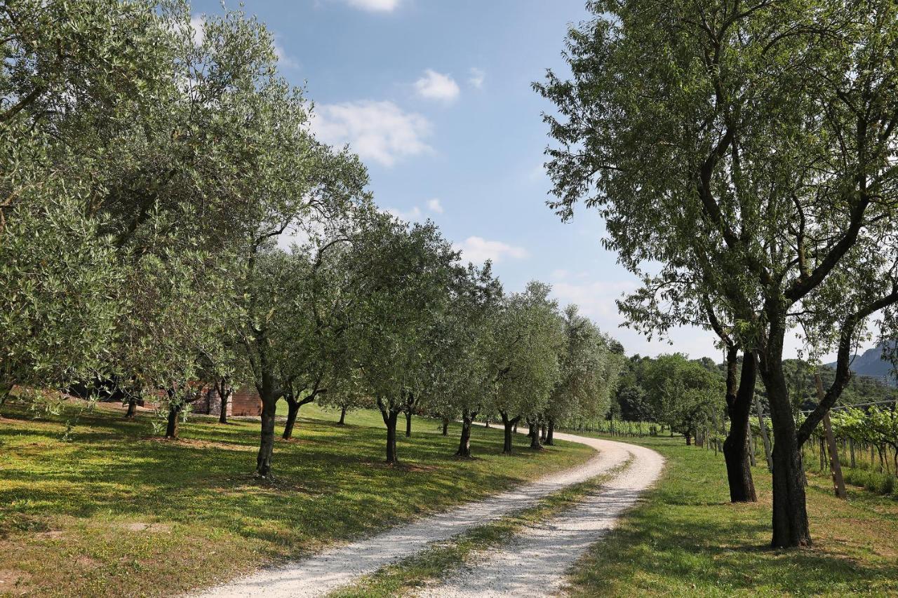 Serene Holiday And Wine Farm Affi Zewnętrze zdjęcie