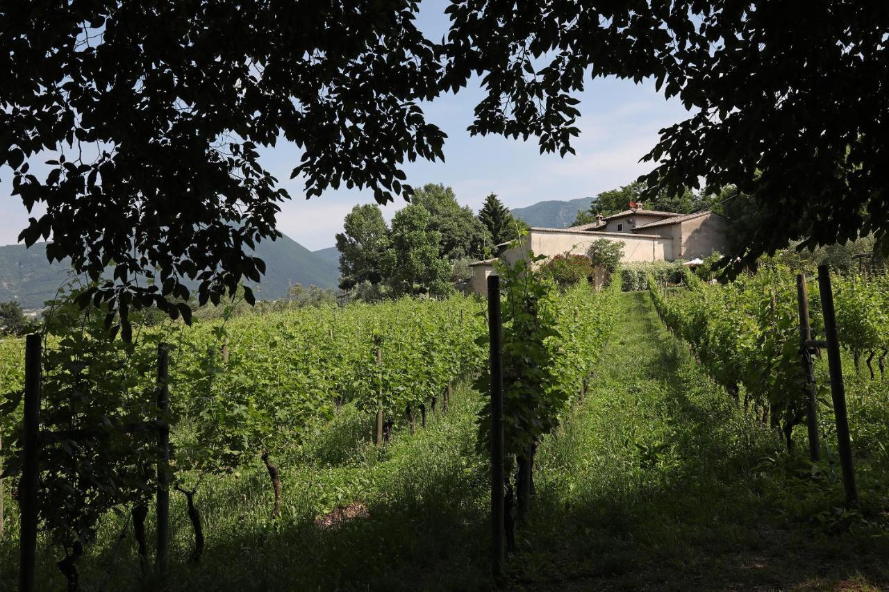Serene Holiday And Wine Farm Affi Zewnętrze zdjęcie